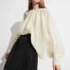 Discount & Other Stories Sheer Blouse