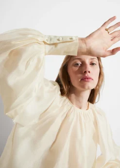 Discount & Other Stories Sheer Blouse