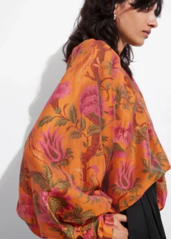 Discount & Other Stories Sheer Blouse