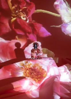 Discount & Other Stories Sicilian Sunrise Eau De Toilette